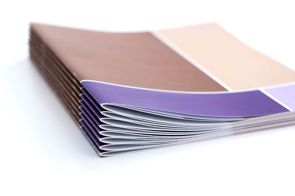 In Catalogue Giá 3000 Có Thật Hay Không